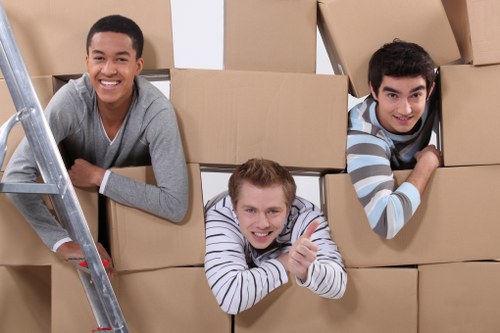 Small relocation service with van and mover