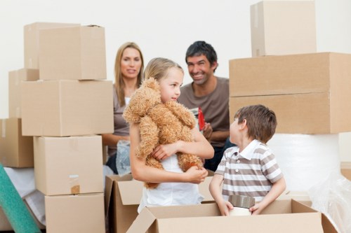 Professional van moving for furniture transport